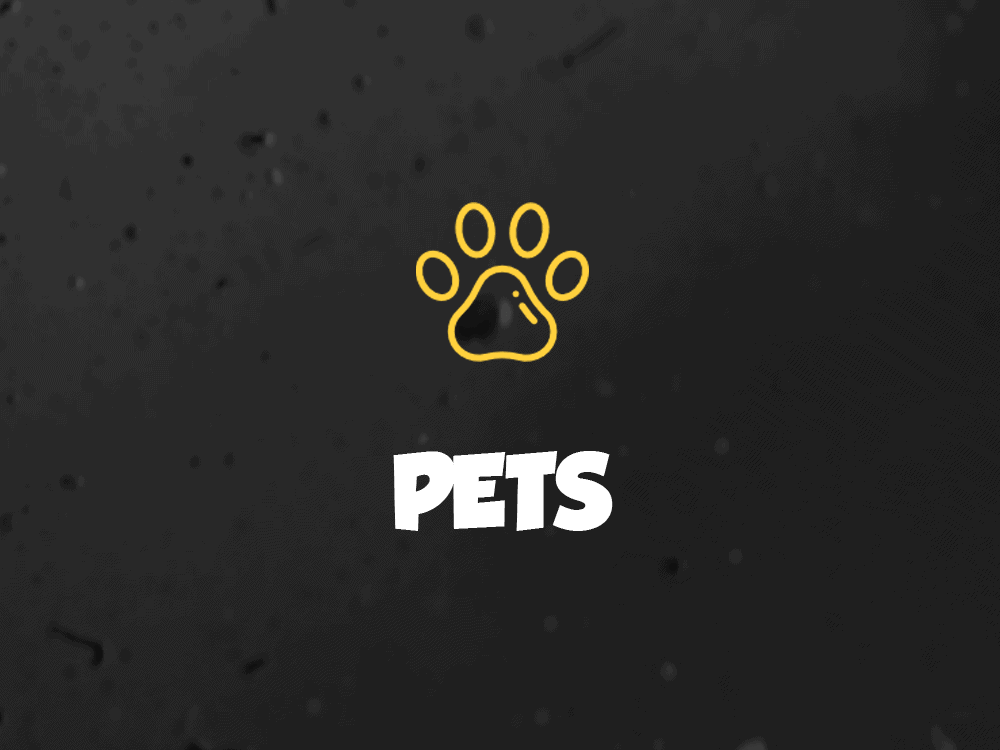 Pet