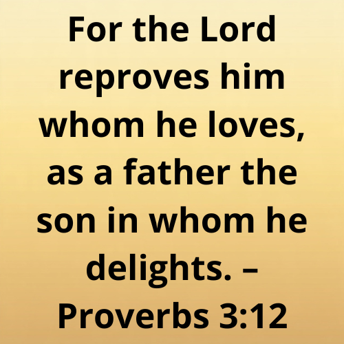 For the Lord reproves him whom he loves, as a father the son in whom he delights. – Proverbs 3:12