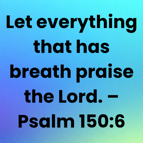 Let everything that has breath praise the Lord. – Psalm 150:6