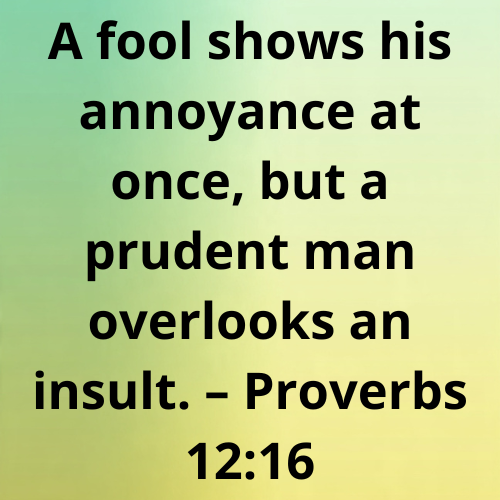 A fool shows his annoyance at once, but a prudent man overlooks an insult. – Proverbs 12:16