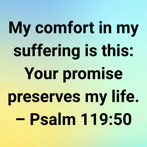 My comfort in my suffering is this: Your promise preserves my life. – Psalm 119:50