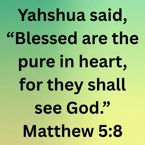Yahshua said, “Blessed are the pure in heart, for they shall see God.” Matthew 5:8