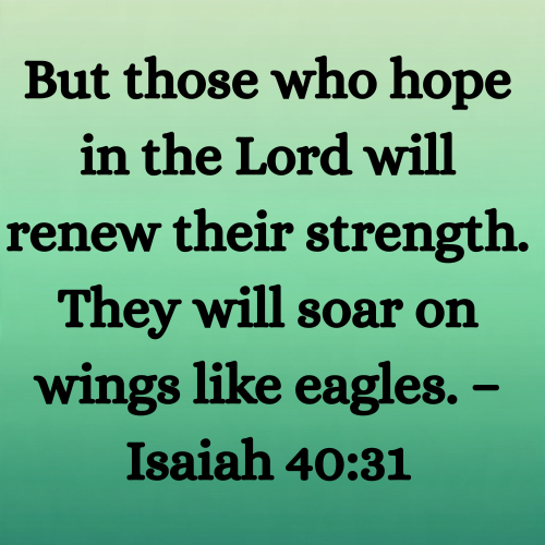 But those who hope in the Lord will renew their strength. They will soar on wings like eagles. – Isaiah 40:31