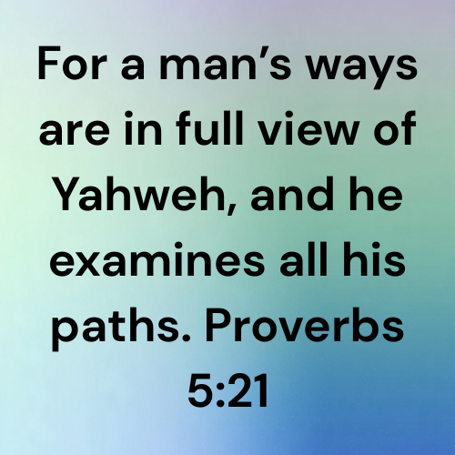 For a man’s ways are in full view of Yahweh, and he examines all his paths. Proverbs 5:21