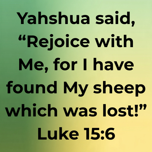 Yahshua said, “Rejoice with Me, for I have found My sheep which was lost!” Luke 15:6