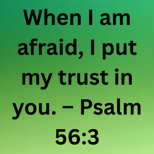 When I am afraid, I put my trust in you. – Psalm 56:3