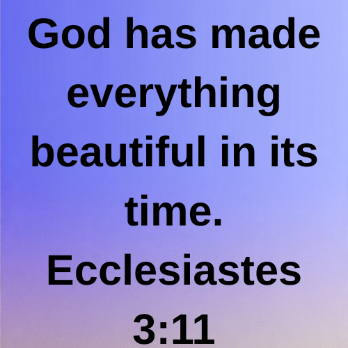 God has made everything beautiful in its time. Ecclesiastes 3:11