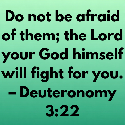 Do not be afraid of them; the Lord your God himself will fight for you. – Deuteronomy 3:22