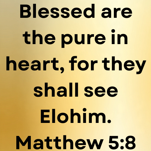 Blessed are the pure in heart, for they shall see Elohim. Matthew 5:8
