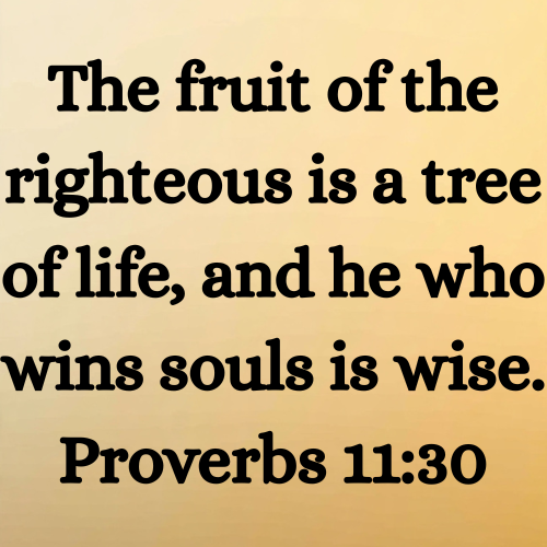 The fruit of the righteous is a tree of life, and he who wins souls is wise. Proverbs 11:30