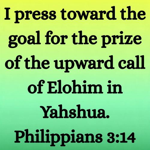 I press toward the goal for the prize of the upward call of Elohim in Yahshua. Philippians 3:14