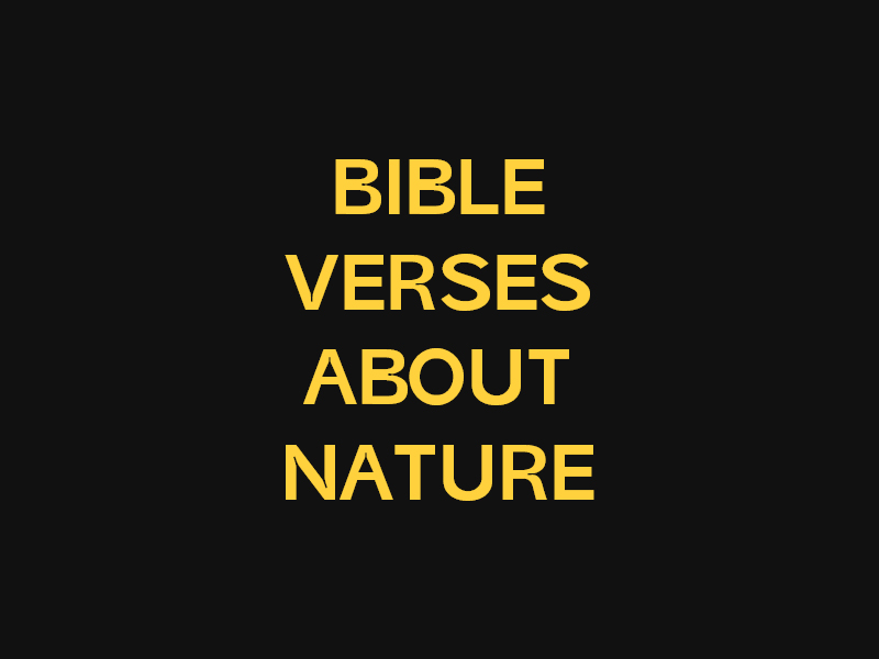 bible verses about nature