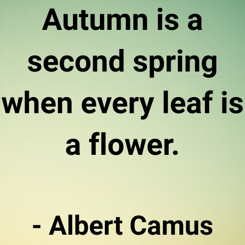 Autumn is a second spring when every leaf is a flower