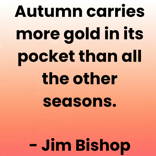Autumn carries more gold in its pocket than all the other seasons