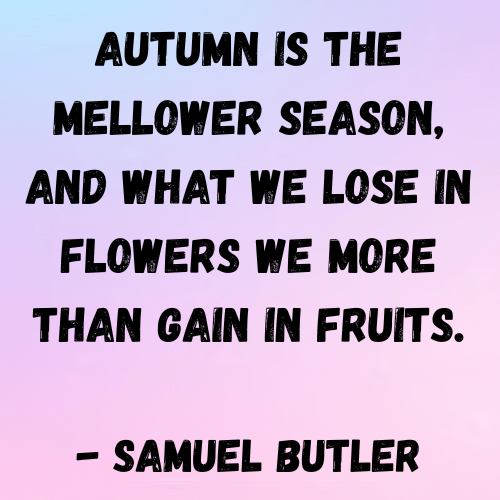 Autumn is the mellower season, and what we lose in flowers we more than gain in fruits