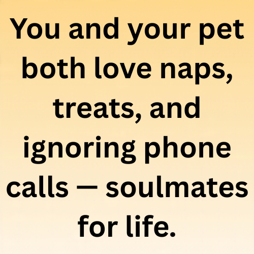 You and your pet both love naps, treats, and ignoring phone calls — soulmates for life.