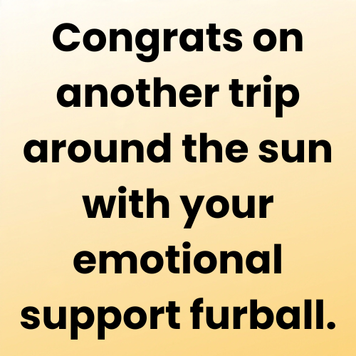 Congrats on another trip around the sun with your emotional support furball.