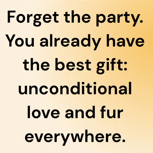 Forget the party. You already have the best gift: unconditional love and fur everywhere.
