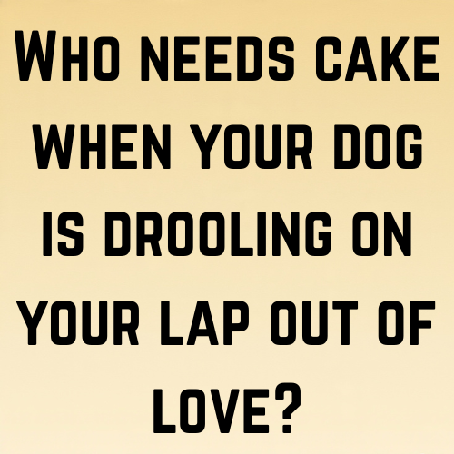 Who needs cake when your dog is drooling on your lap out of love?
