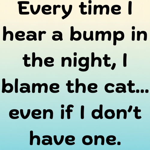Every time I hear a bump in the night, I blame the cat… even if I don’t have one.
