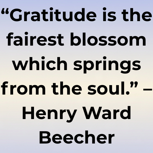 “Gratitude is the fairest blossom which springs from the soul.” – Henry Ward Beecher