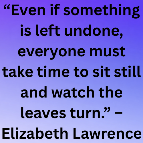 “Even if something is left undone, everyone must take time to sit still and watch the leaves turn.” – Elizabeth Lawrence