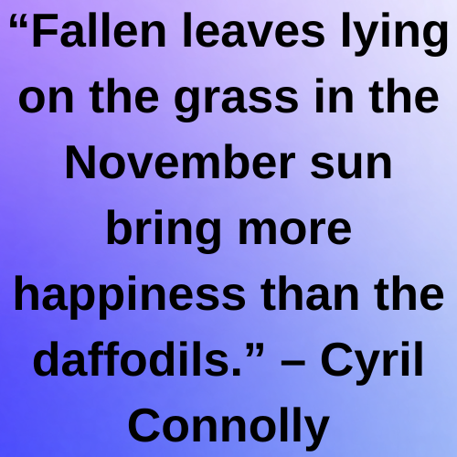 “Fallen leaves lying on the grass in the November sun bring more happiness than the daffodils.” – Cyril Connolly