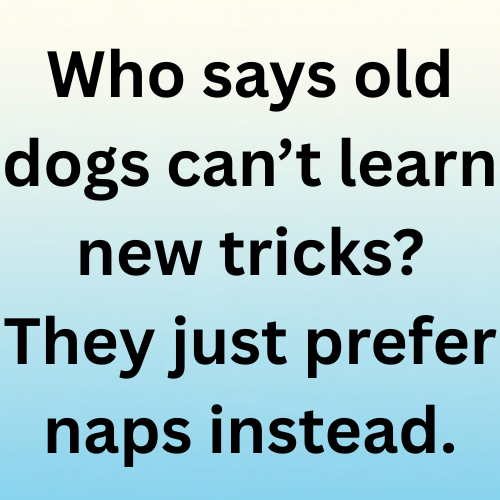 Who says old dogs can’t learn new tricks? They just prefer naps instead.