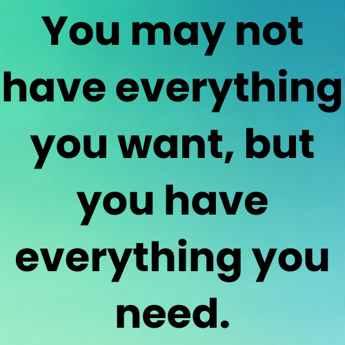 You may not have everything you want, but you have everything you need.