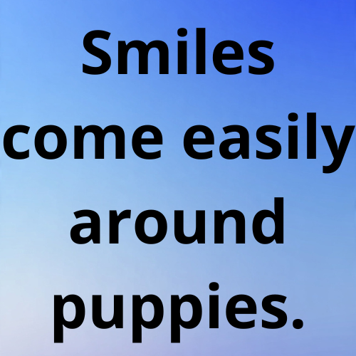 Smiles come easily around puppies.