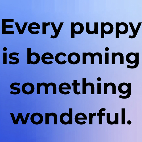 Every puppy is becoming something wonderful.
