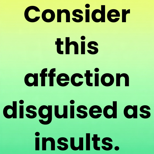 Consider this affection disguised as insults.