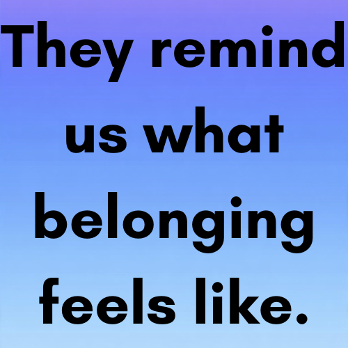 They remind us what belonging feels like.