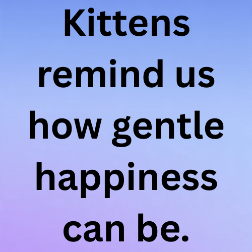 Kittens remind us how gentle happiness can be.