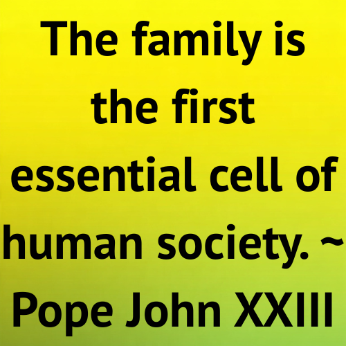 The family is the first essential cell of human society. ~ Pope John XXIII