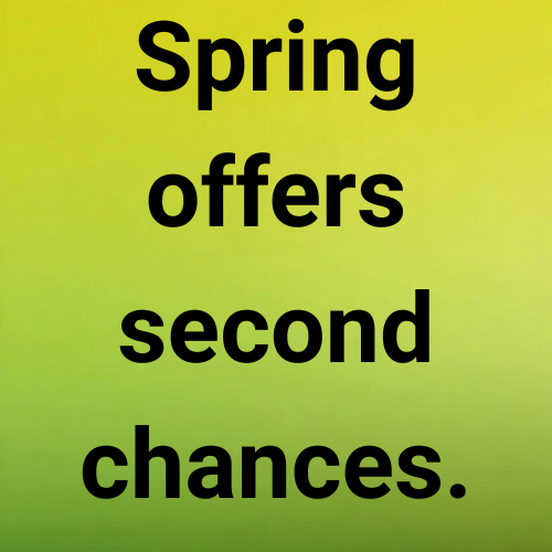 Spring offers second chances.