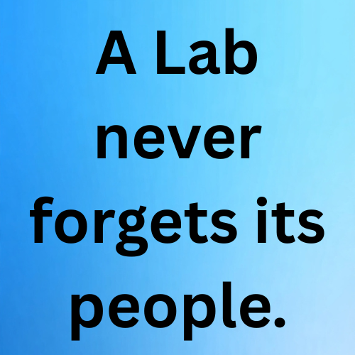 A Lab never forgets its people.