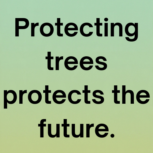 Protecting trees protects the future.