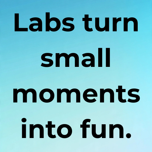 Labs turn small moments into fun.