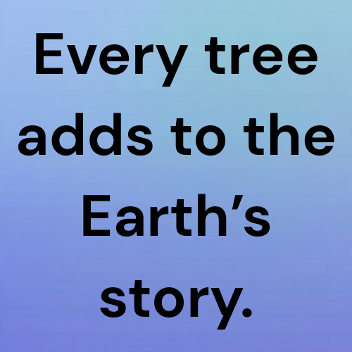 Every tree adds to the Earth’s story.