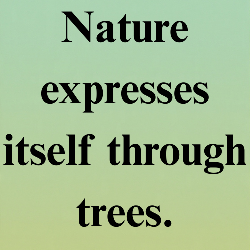 Nature expresses itself through trees.