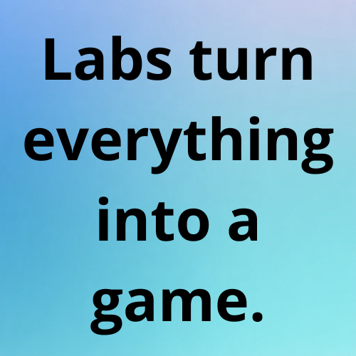 Labs turn everything into a game.