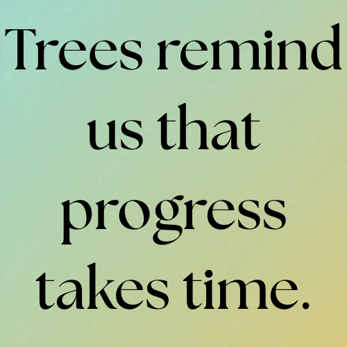 Trees remind us that progress takes time.