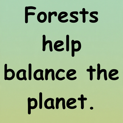 Forests help balance the planet.