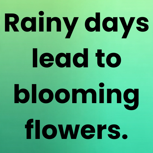 Rainy days lead to blooming flowers.