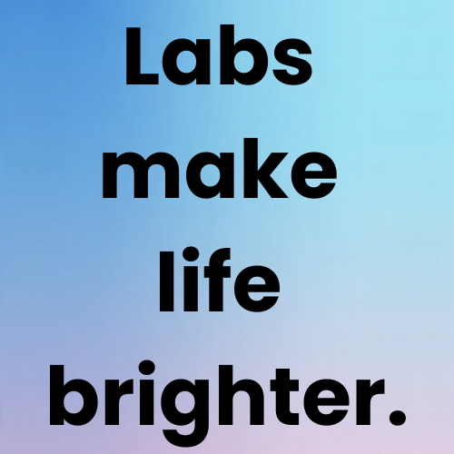 Labs make life brighter.