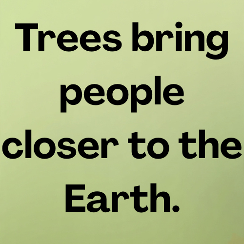 Trees bring people closer to the Earth.
