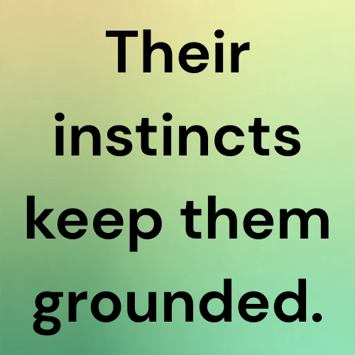 Their instincts keep them grounded.