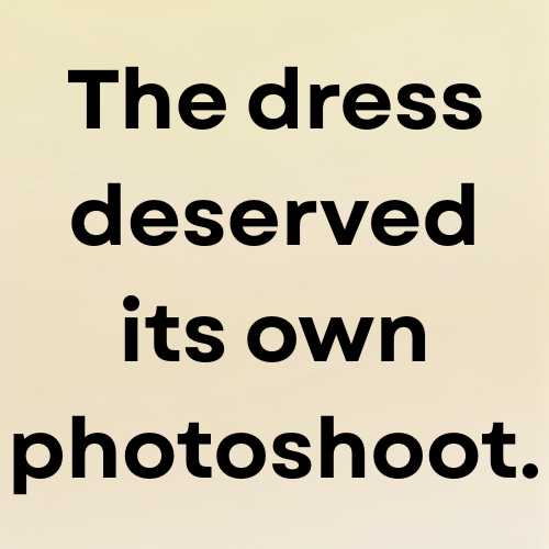 The dress deserved its own photoshoot.