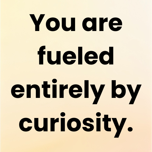 You are fueled entirely by curiosity.